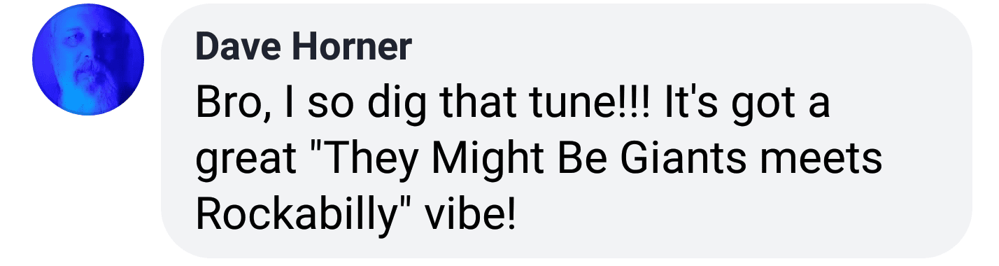a screenshot of a fan's comment on Facebook: "Bro, I so dig that tune!!! It's got a great "They Might Be Giants meets Rockabilly" vibe!" country rock