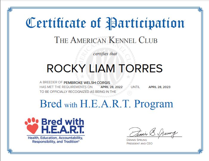 Certificate - AKC Breeder with Heart Program-min