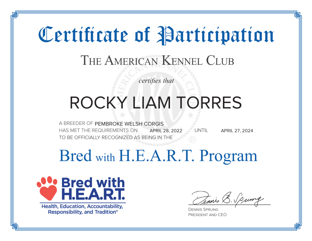 Certificate - AKC Breeder with Heart Program 2024