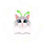 https://aliencountry.org/wp-content/uploads/sites/133/2023/07/ACCS-Xenia-circle-logo-transp-1080x1080-1-150x150.png